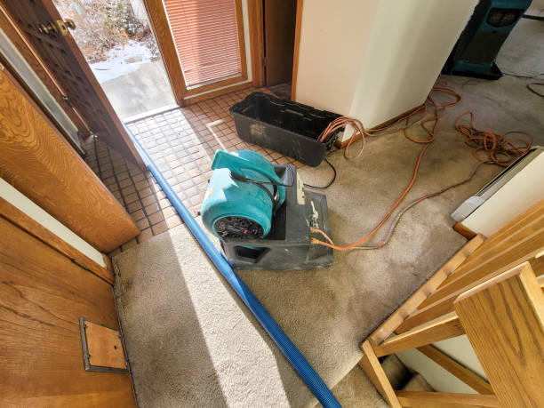 Professional Water damage restoration in Highland, IL