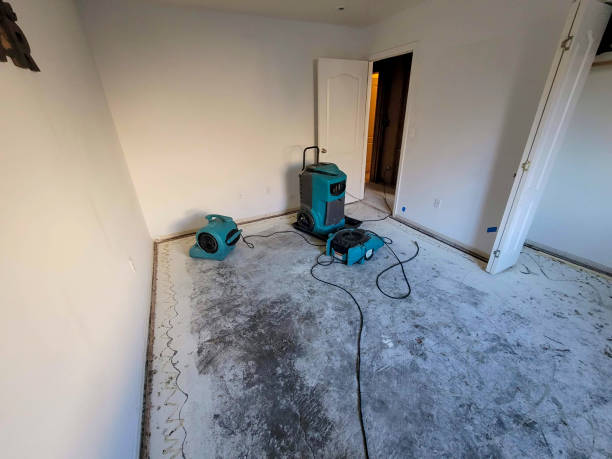 Best Carpet water damage restoration  in Highland, IL