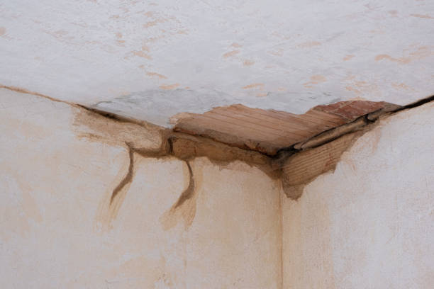 Sewage cleanup and water damage restoration in Highland, IL
