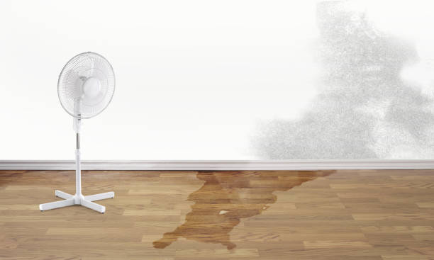 Best 24/7 water damage repair  in Highland, IL