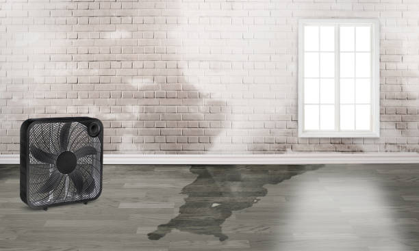 24/7 water damage repair in Highland, IL