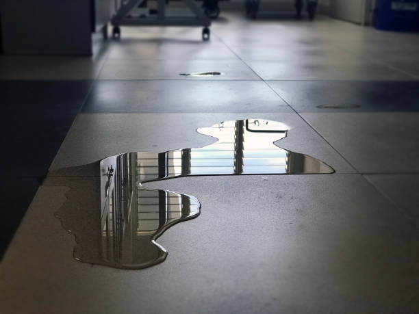 Best Commercial water damage restoration  in Highland, IL