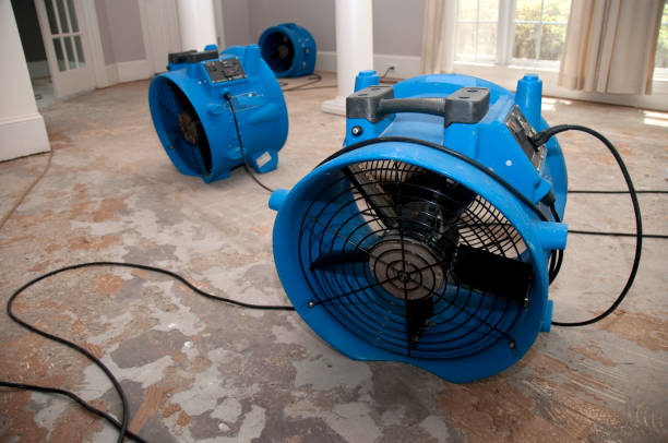Best Emergency water extraction  in Highland, IL