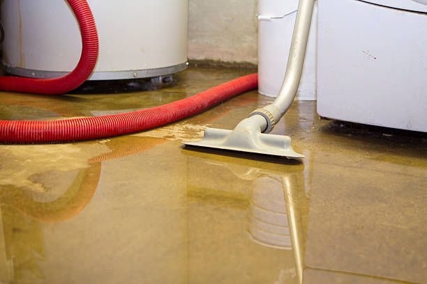 Best Basement water damage restoration  in Highland, IL