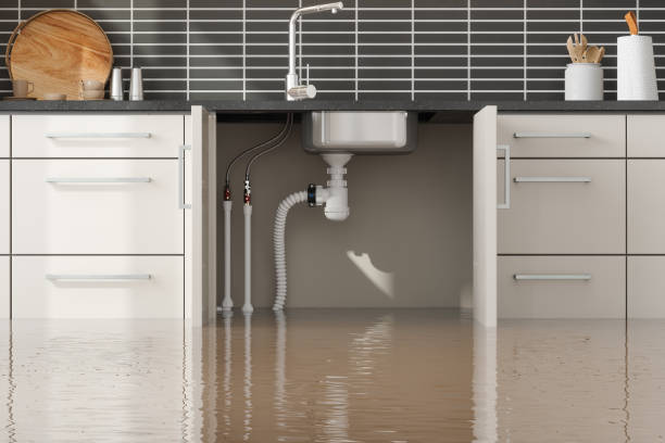 Best Local water damage restoration  in Highland, IL