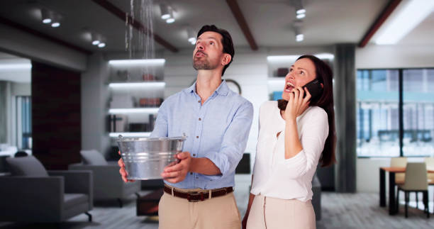 Best 24-hour water damage restoration  in Highland, IL